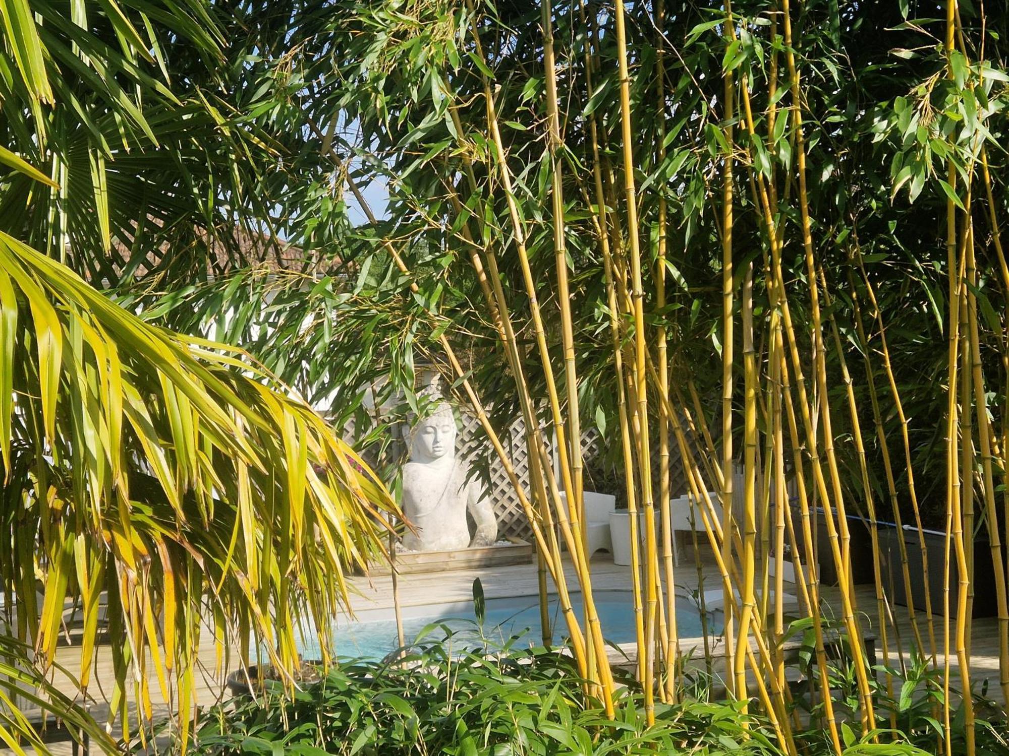 La Serenite Balinaise, Chambre Et Sdb Privee, Jardin , Piscine Et Jacuzzi En Saison, Pres De Chantilly, Parc Asterix Et Cdg Et Paris En 20' Orry-La-Ville Εξωτερικό φωτογραφία