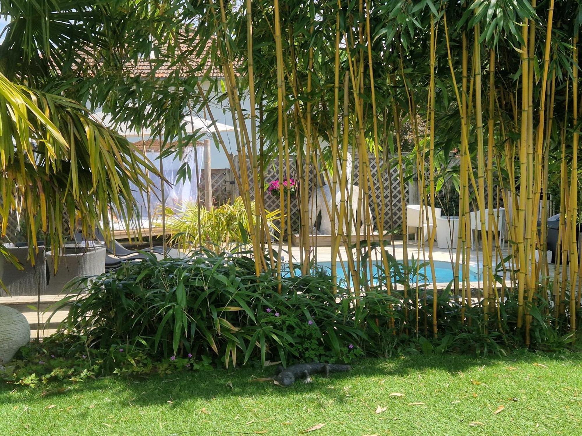 La Serenite Balinaise, Chambre Et Sdb Privee, Jardin , Piscine Et Jacuzzi En Saison, Pres De Chantilly, Parc Asterix Et Cdg Et Paris En 20' Orry-La-Ville Εξωτερικό φωτογραφία
